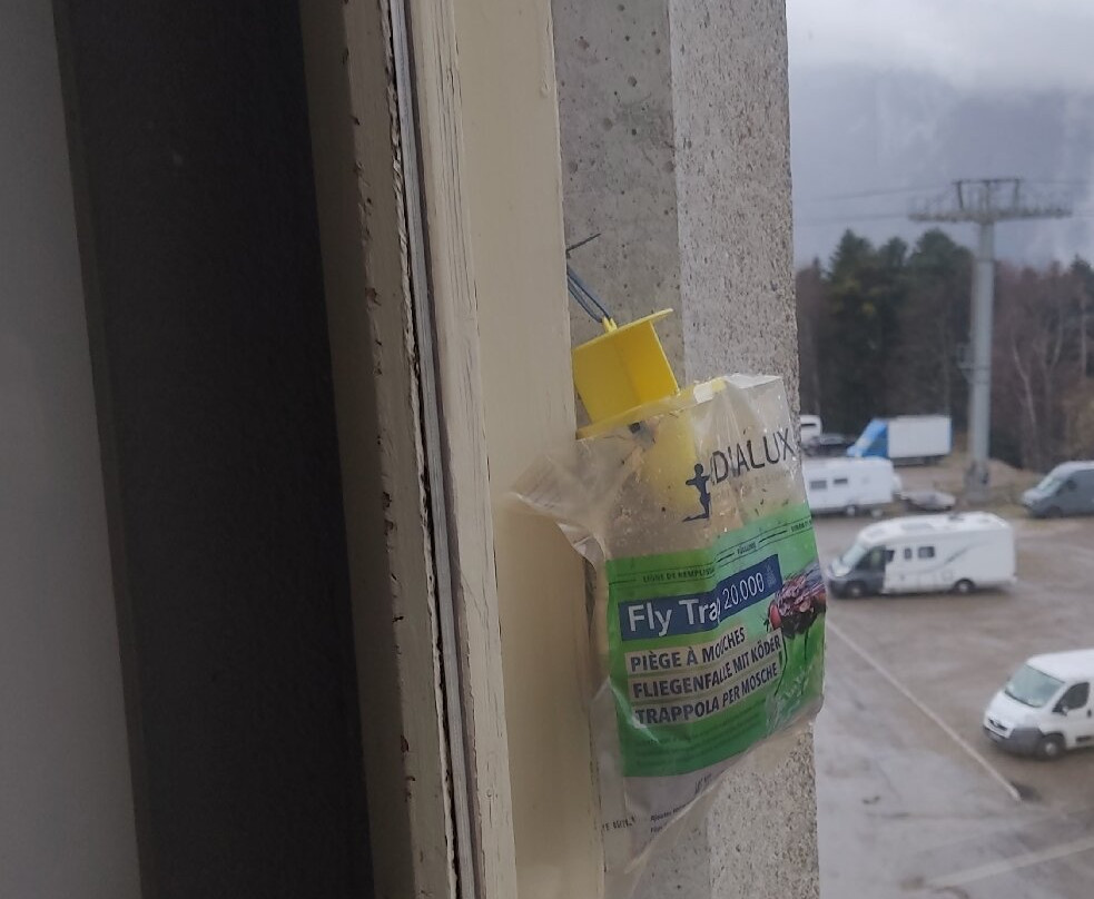 塔尔贝索假日乡村酒店 - 公寓酒店主图