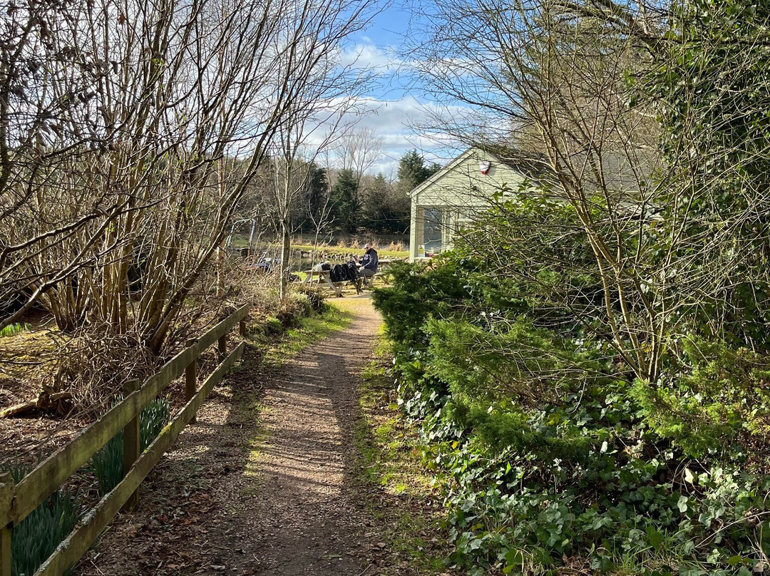 Loch Insch Fishery-Insch必去景点