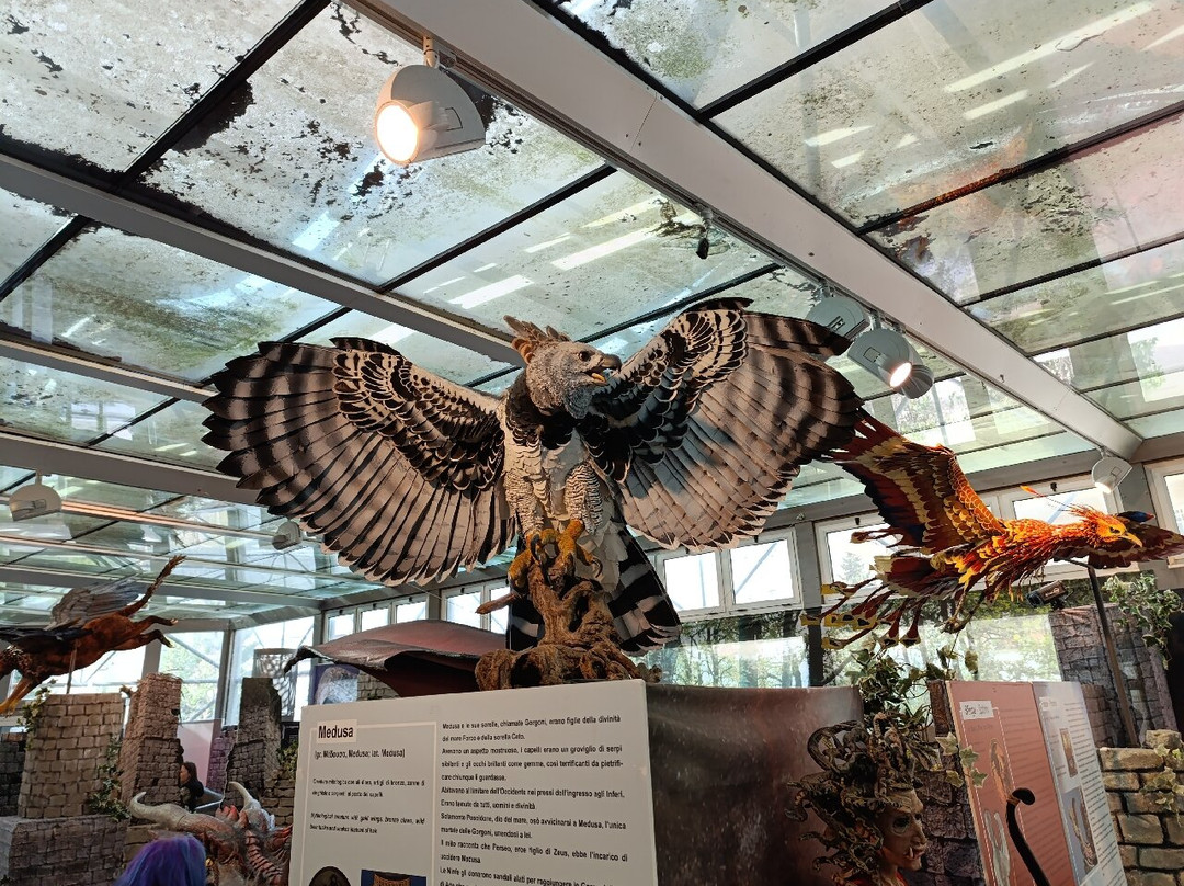 Museo di Storia Naturale del Mediterraneo景点图片