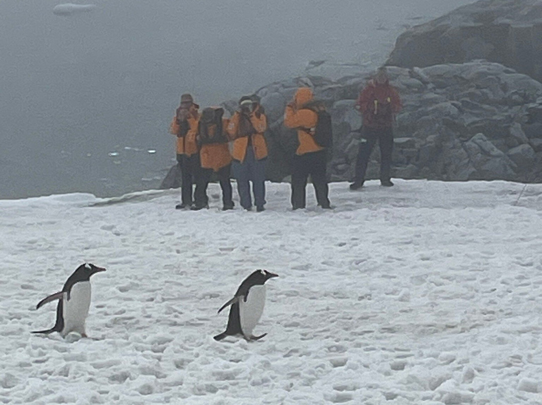 Gonzalez Videla Research Base-Paradise Harbour必去景点