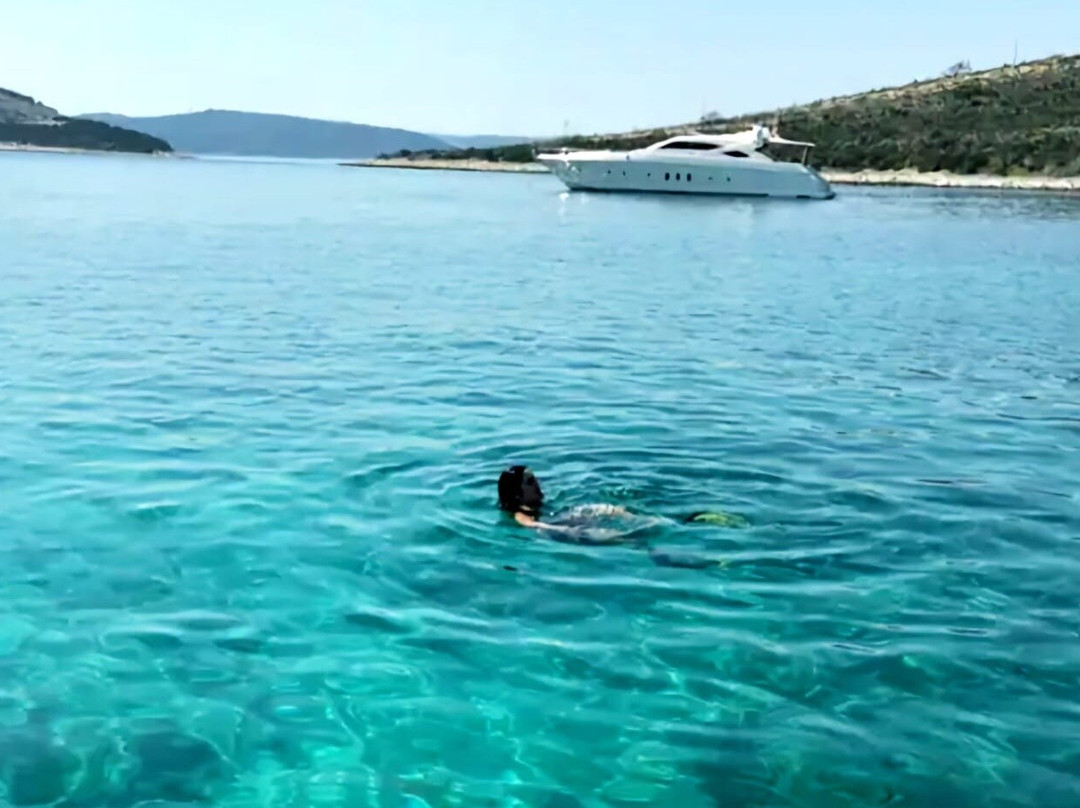 Private boat tour Zadar景点图片