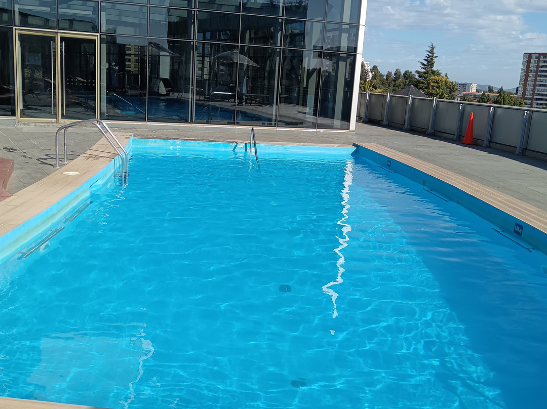 Hotel Dreams Araucania主图