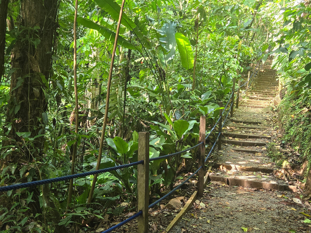 Nauyaca Waterfall Nature Park景点图片
