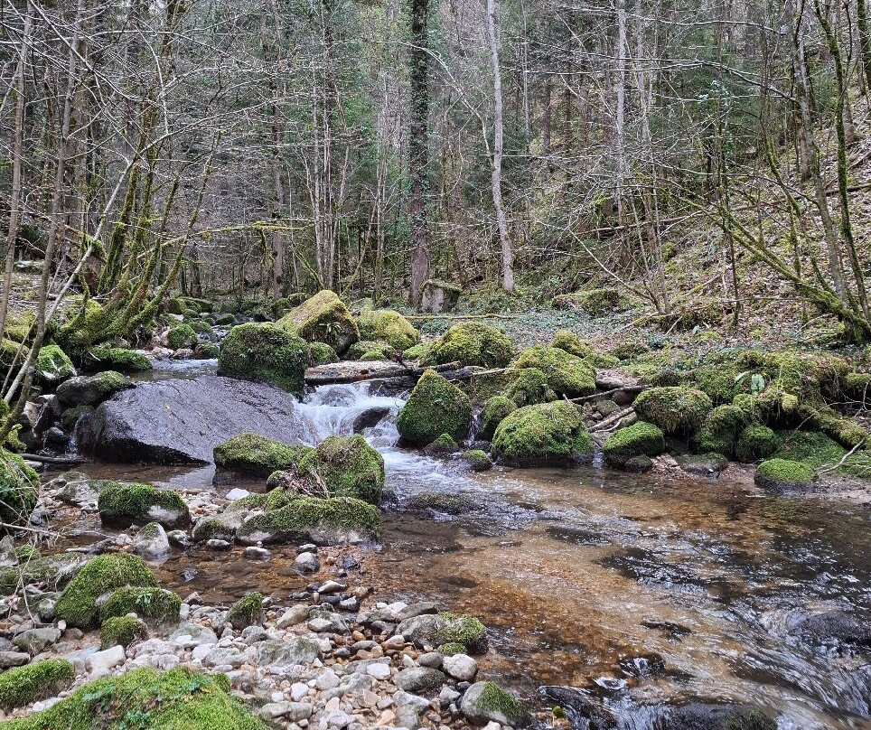Gorges du Pichoux-Undervelier必去景点