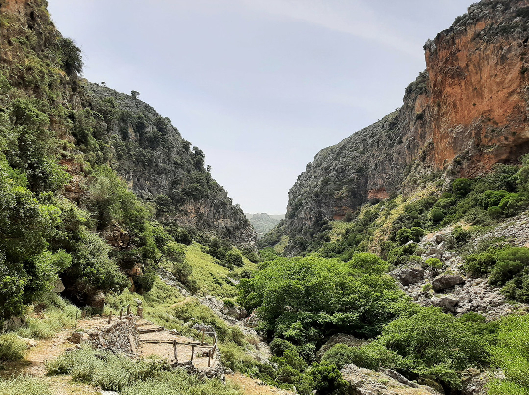 Sirikari Gorge - Polyrrinia Trail-基萨莫斯必去景点
