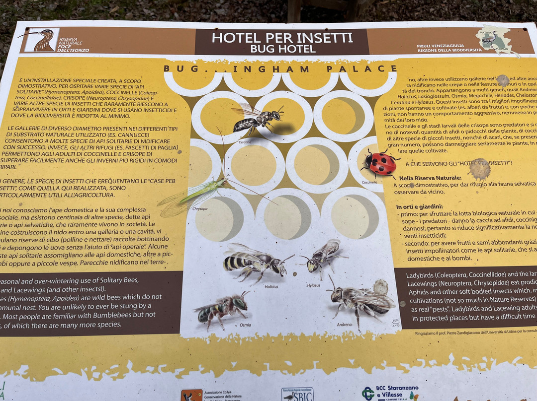 Riserva naturale della Foce dell'Isonzo景点图片