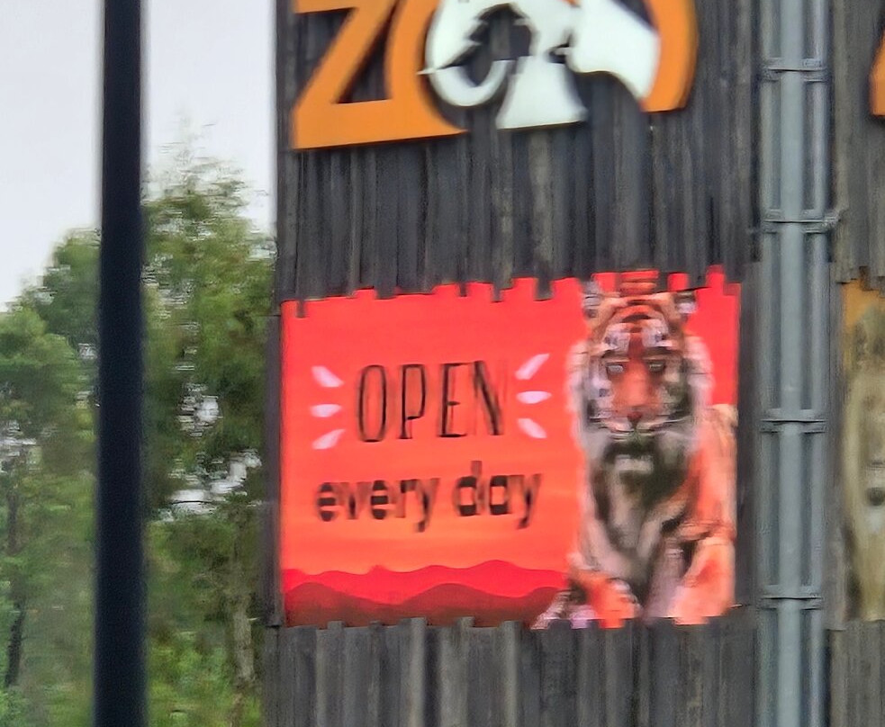 Sydney Zoo景点图片