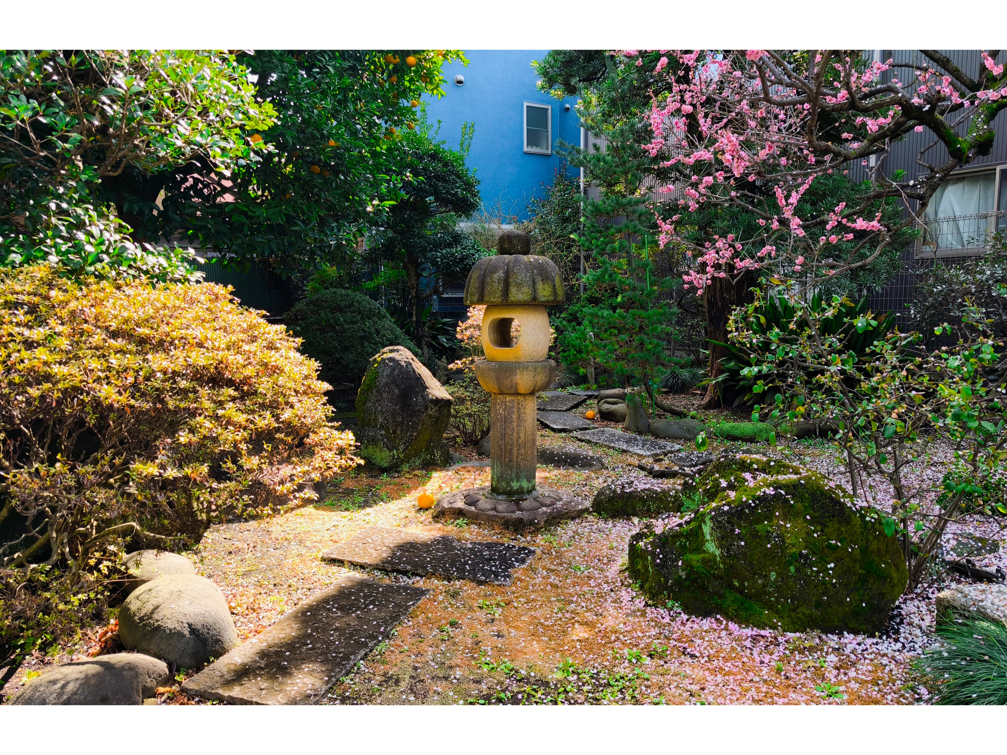 Mokkoan-官方