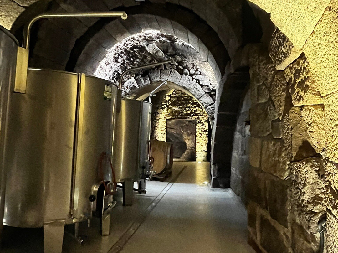 Bodegas Bruneo景点图片