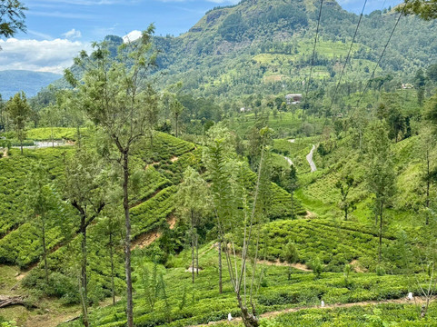 Kandy Hotels  Cars-康提必去景点