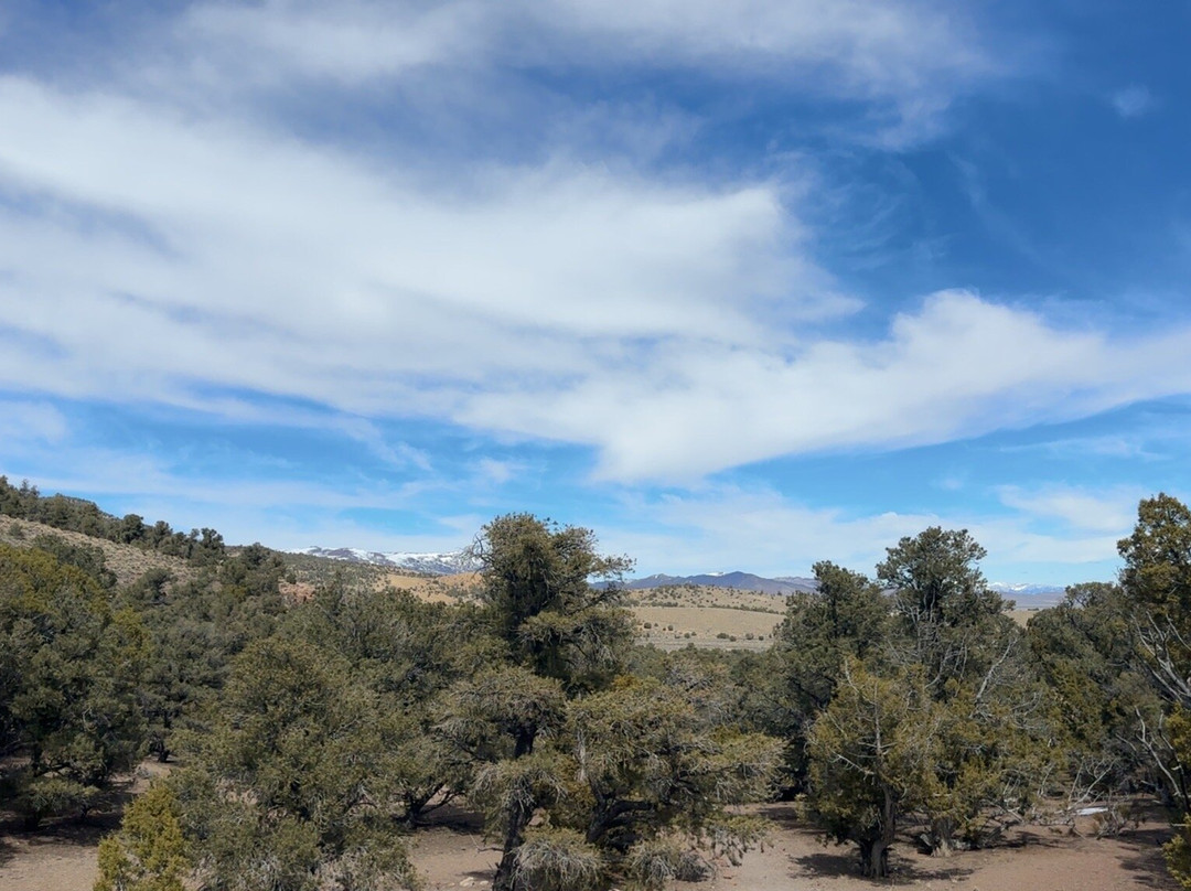 Hickison Petroglyph Recreation Area-Austin必去景点