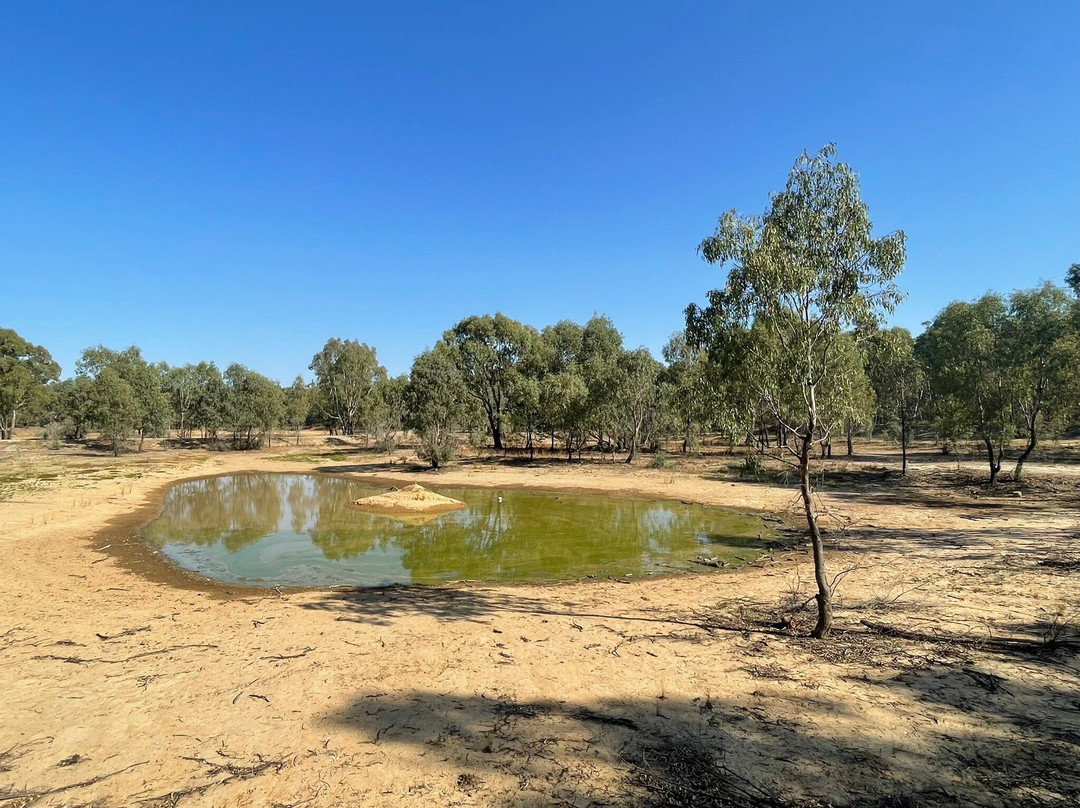 Australian Botanic Gardens Shepparton-谢珀顿必去景点