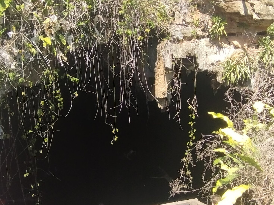 Cenote Kankirixche-Mucuyche必去景点