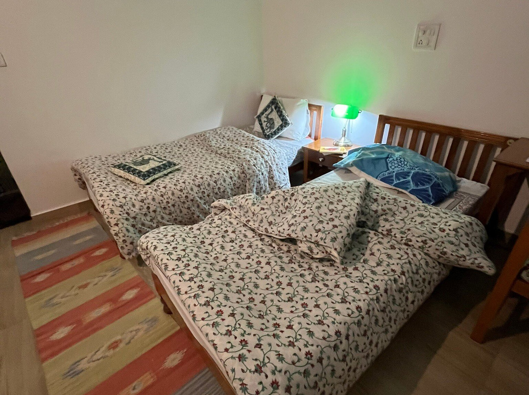 阿南德乐，横跨恒河主图