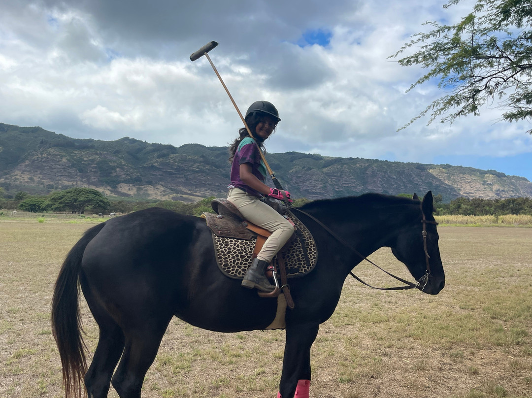Hawaii Polo Academy景点图片