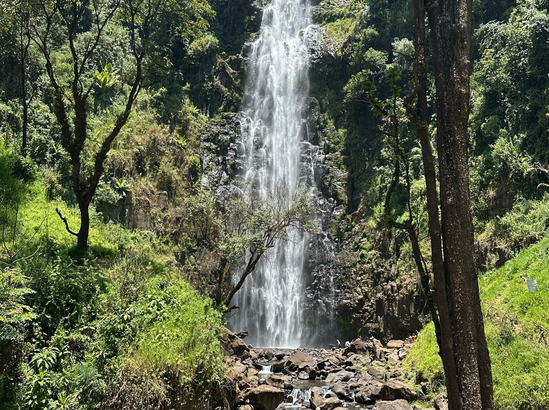 Somewhere in Africa-阿鲁沙必去景点