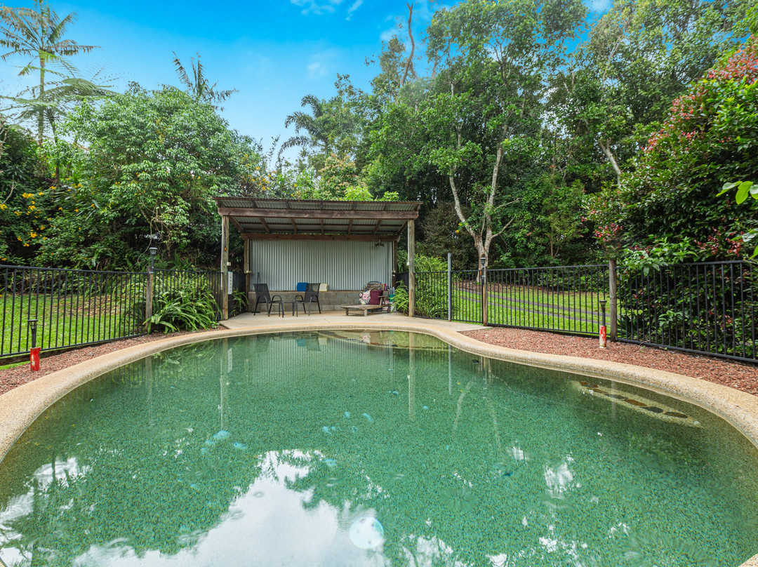 Atherton Blue Gum主图