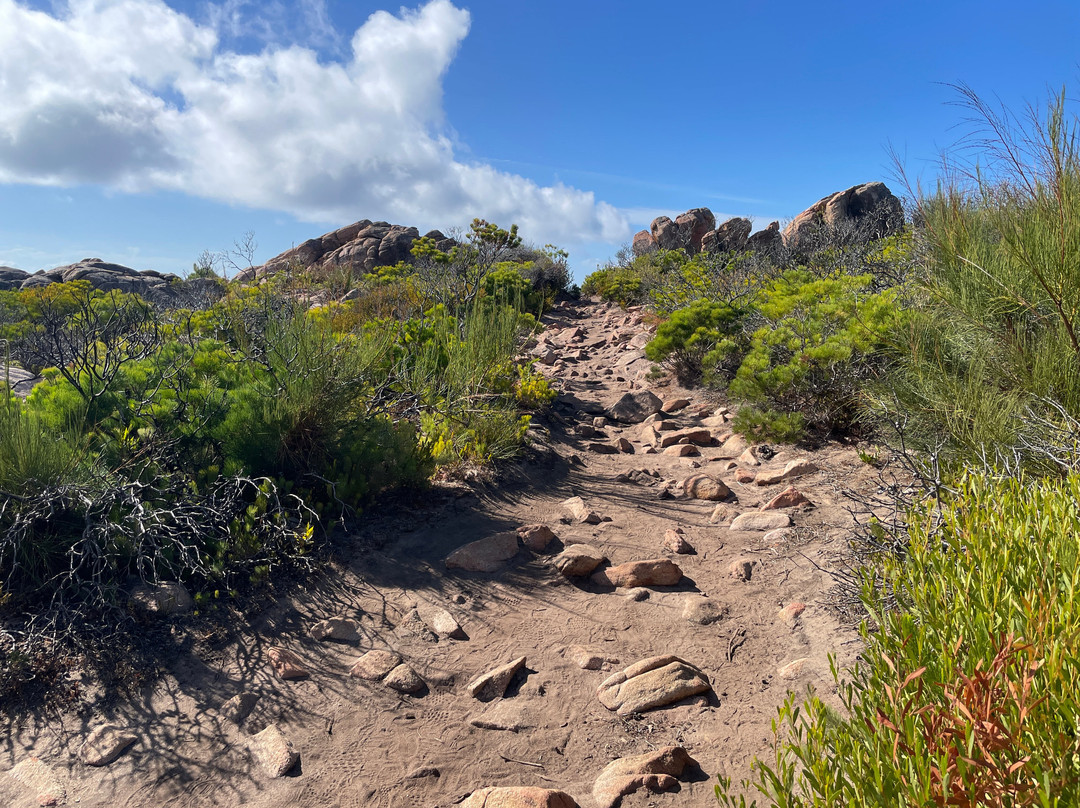 Meelup Reserve Trail景点图片