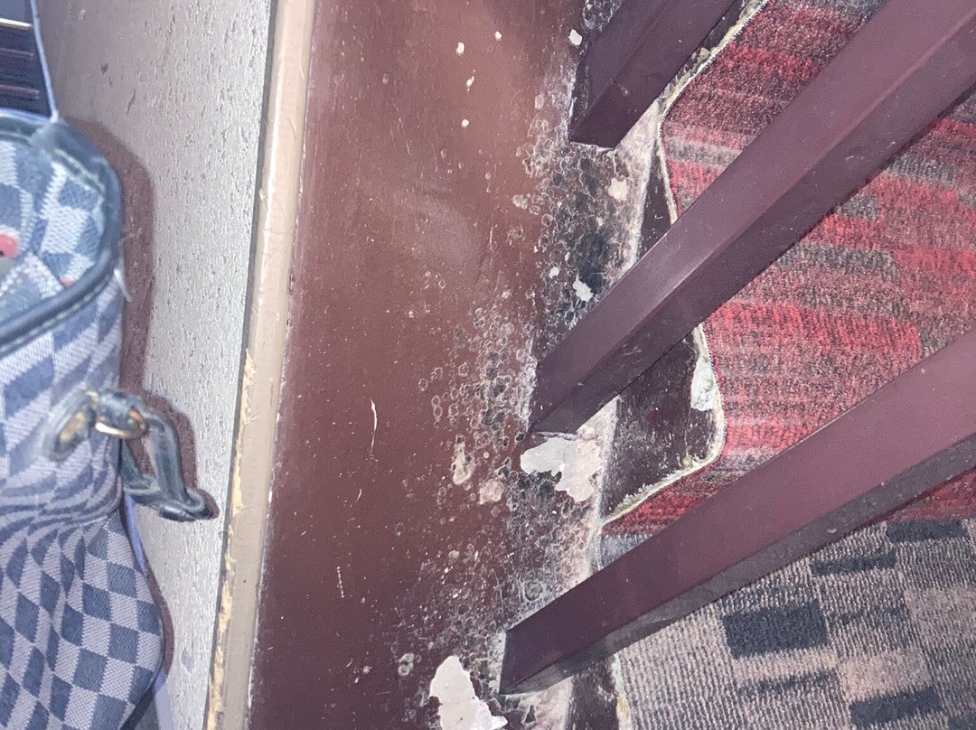 Cit'Hotel le Welcome主图