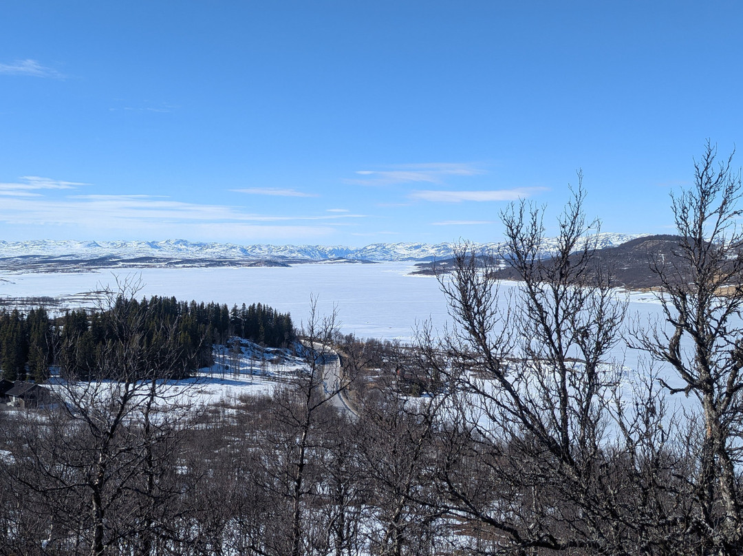 Visitor Centre Hardangervidda National Park景点图片