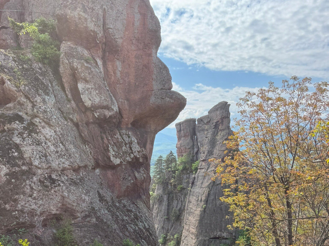 贝洛格拉奇克堡垒景点图片