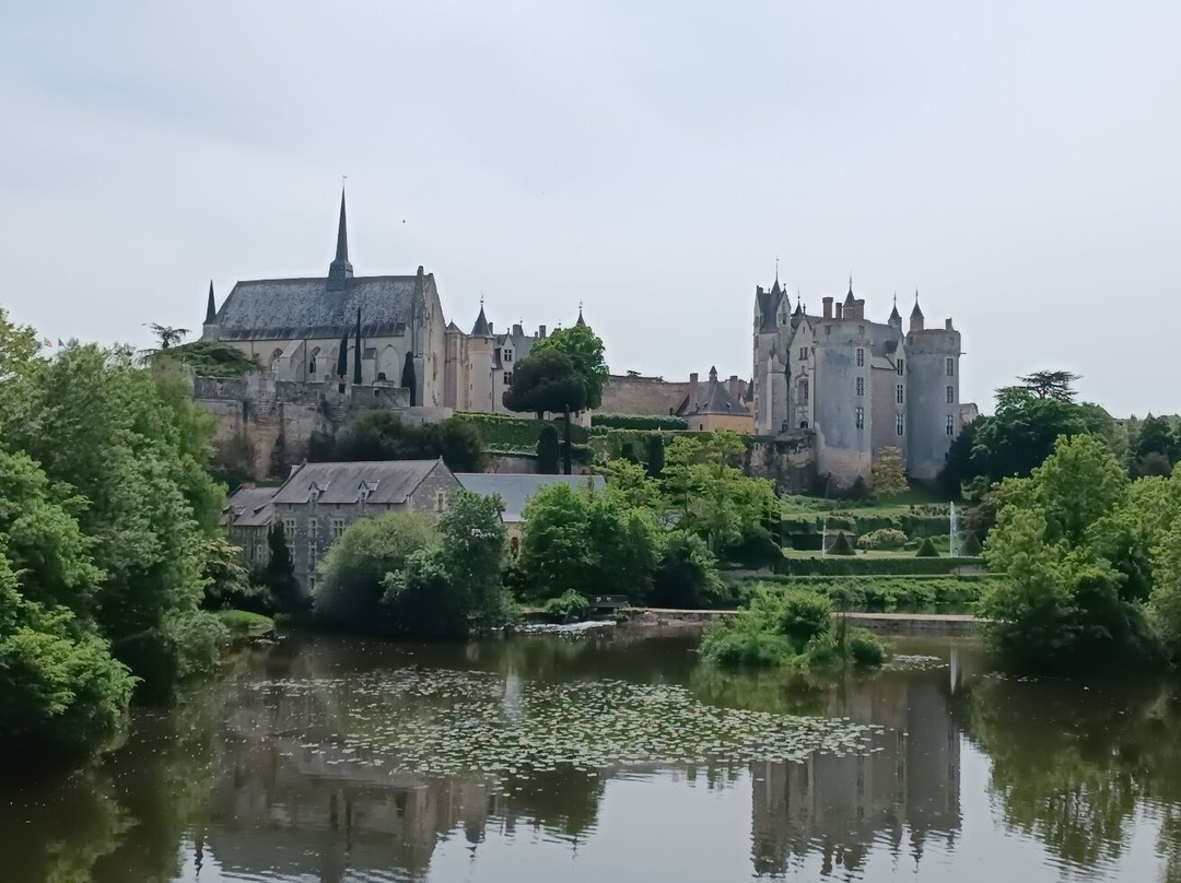 Chateau de Montreuil-Bellay景点图片