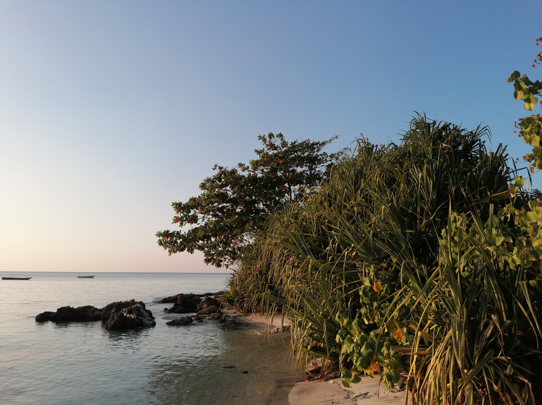 Fun Divers Zanzibar-奔巴岛必去景点