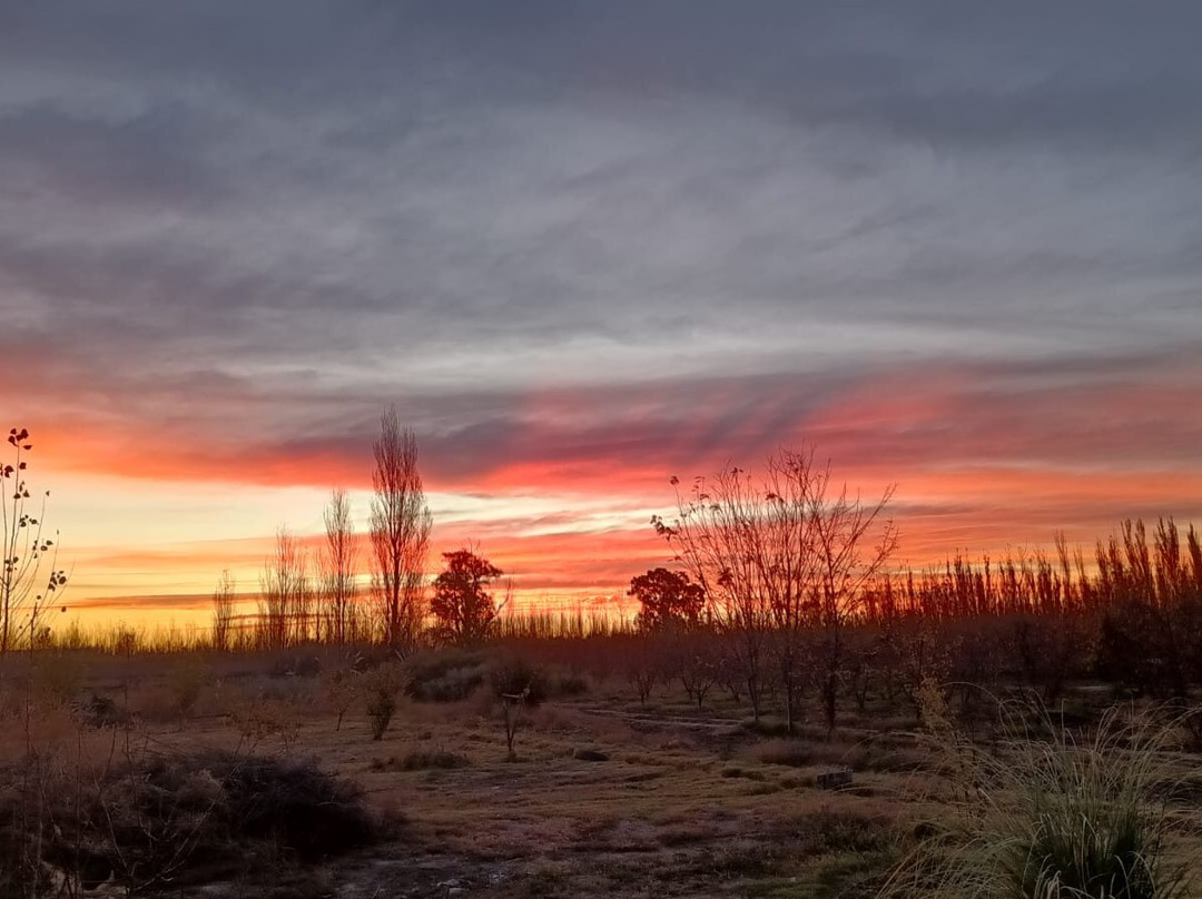 Casartero Eco Posada主图