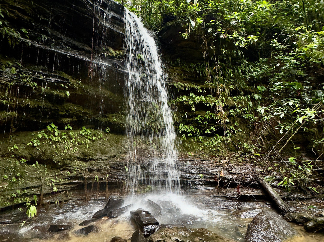 Hostal Tena Ñaui主图