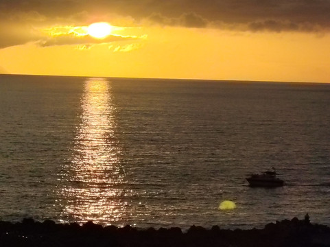 Dreamview Restaurant主图