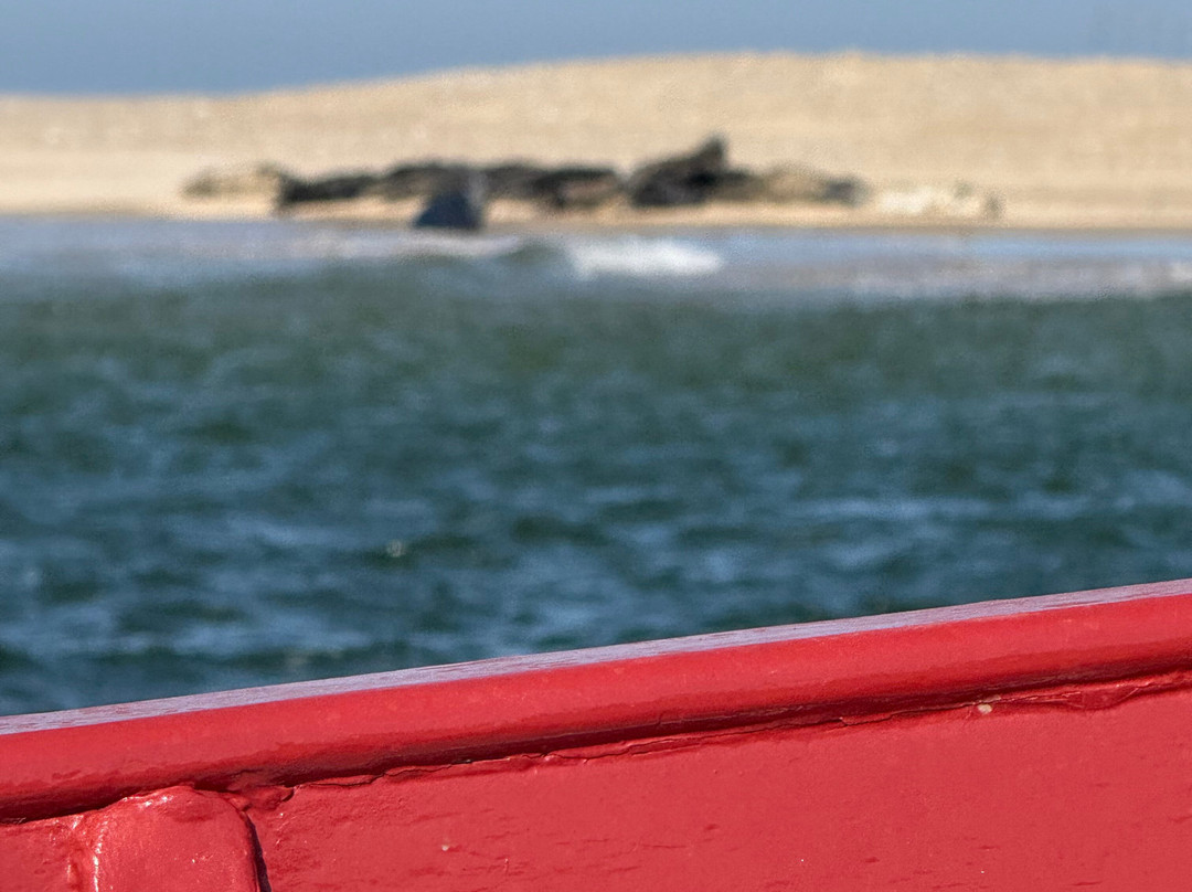 Bishops Boats Seal Trips景点图片