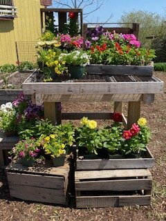 William H. Jordan Farm-开普伊丽莎白必去景点