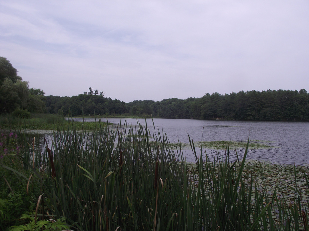 William A. Bray Memorial Park景点图片