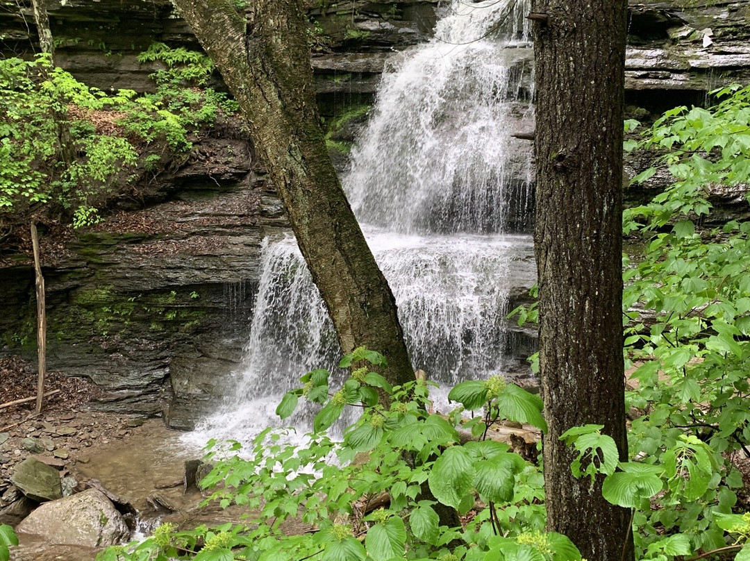 Ole Covered Wagon Tours-Wellsboro必去景点