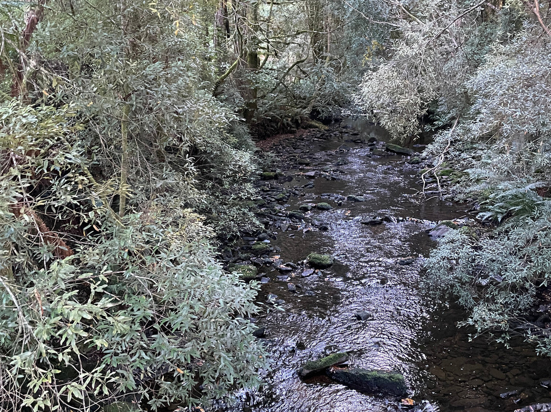 Nelson Falls-皇后镇必去景点