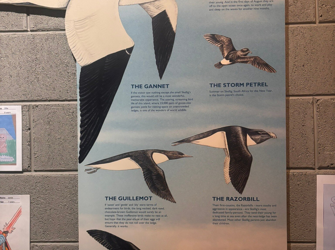The Skellig Experience Visitor Centre-凯里郡必去景点
