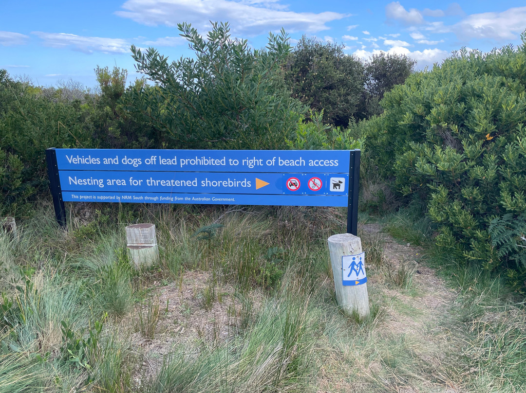 Seymour Beach-比奇诺必去景点