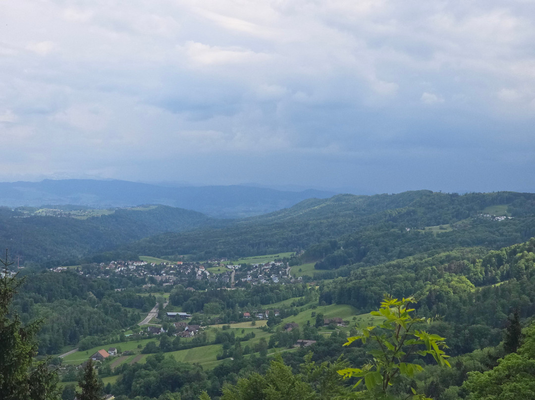 Luftseilbahn Adliswil-Felsenegg LAF-阿德利斯维尔必去景点