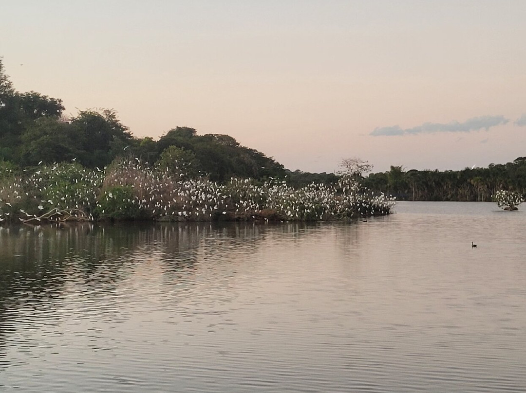 Parque Lago Municipal Recanto das Araras景点图片
