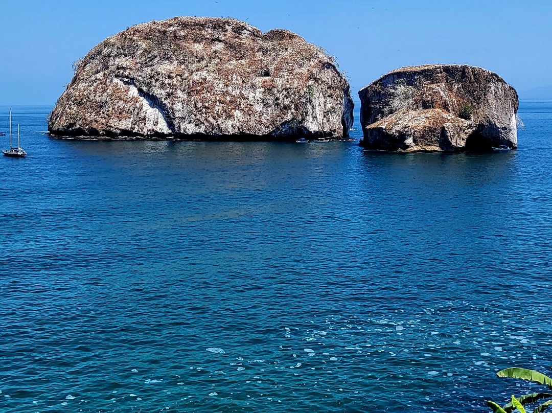 Summer's Ranch-瓦拉塔港必去景点