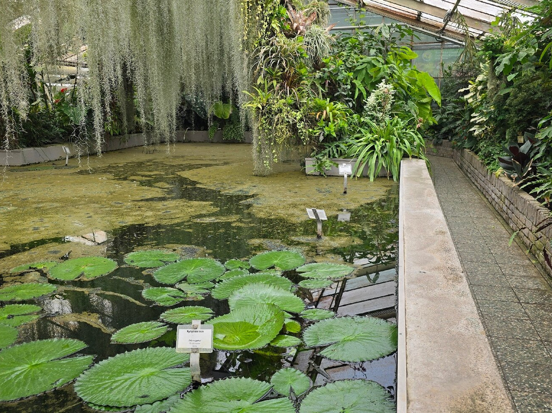 Botanical Garden-布拉迪斯拉发必去景点
