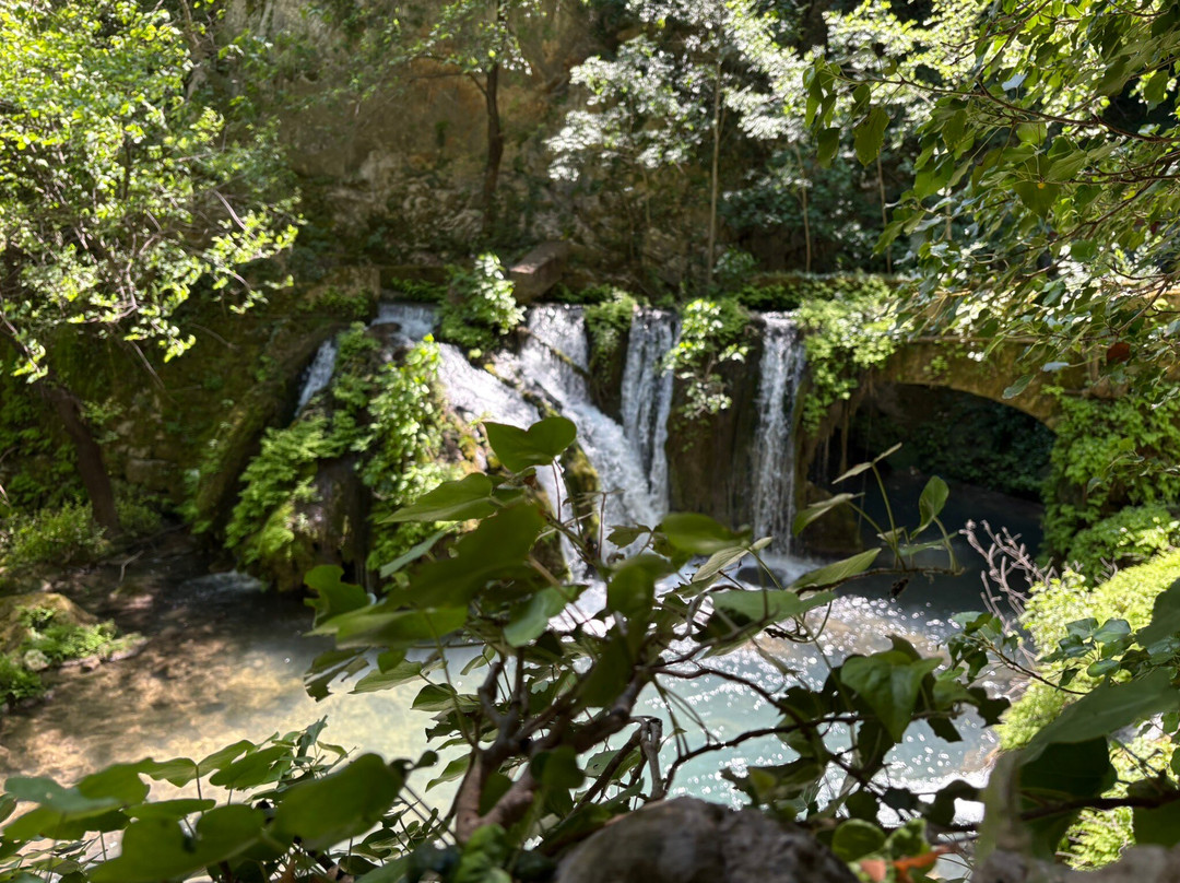 Adventure Park Peć Mlini景点图片