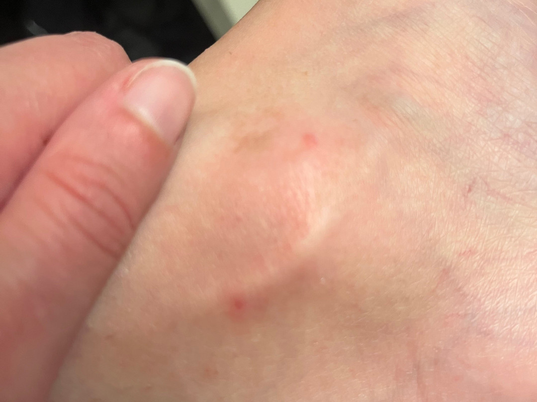 Candlewood Suites Boston North Shore - Danvers by IHG主图