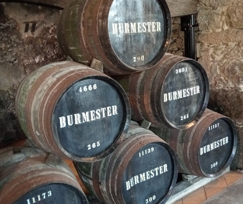 Burmester-加亚新城必去景点