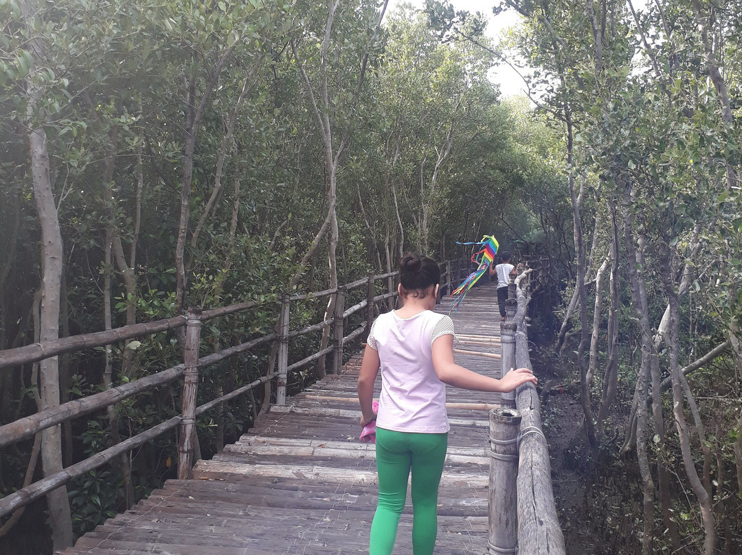 Balanga Nature and Wetland Park景点图片