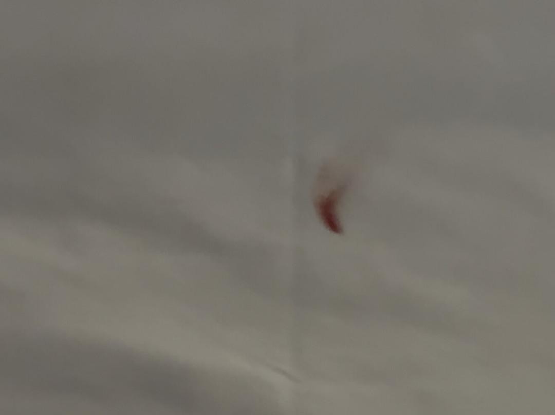 Baymont by Wyndham Glenview主图