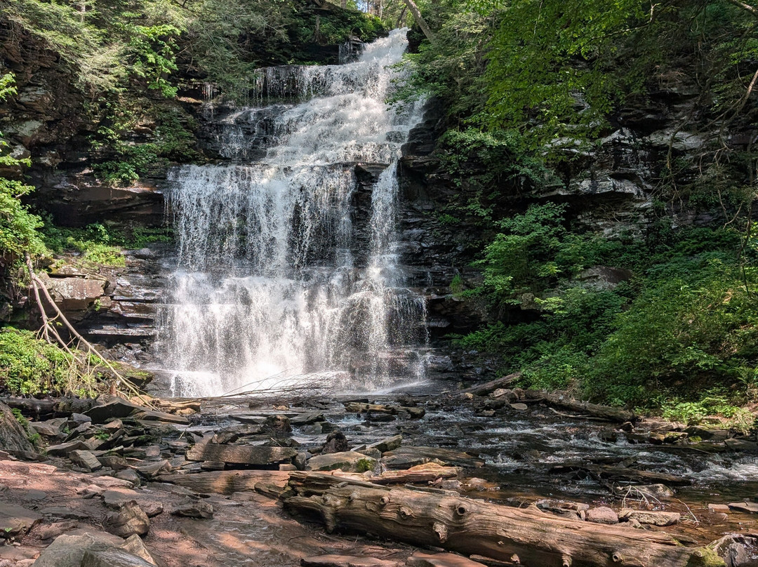 Ricketts Glen State Park景点图片