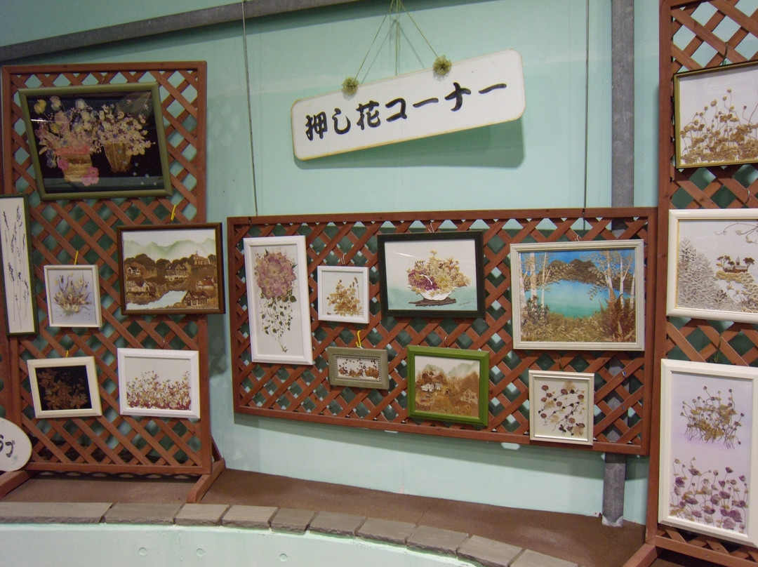 Echizen Suisen no Sato Park景点图片