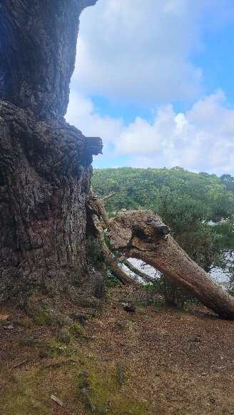 Plage de Port Manech-Nevez必去景点
