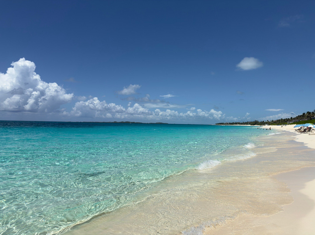 Cabbage Beach-拿骚必去景点